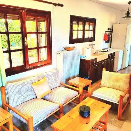 Spacious With Big Yard And Fireplace *