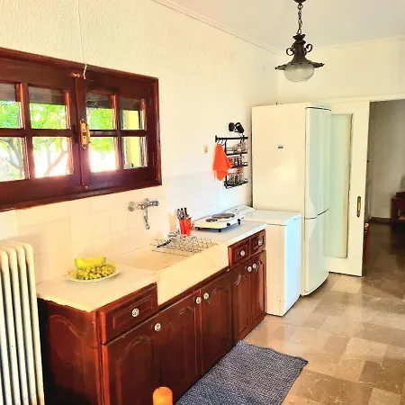 Spacious With Big Yard And Fireplace