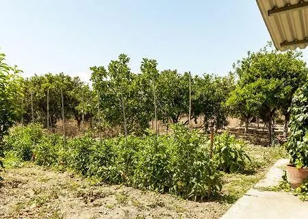 Spacious With Big Yard And Fireplace *