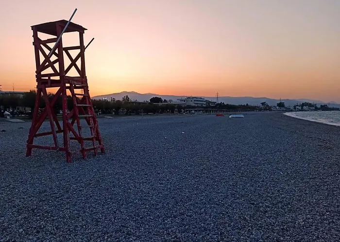 Spacious With Big Yard And Fireplace