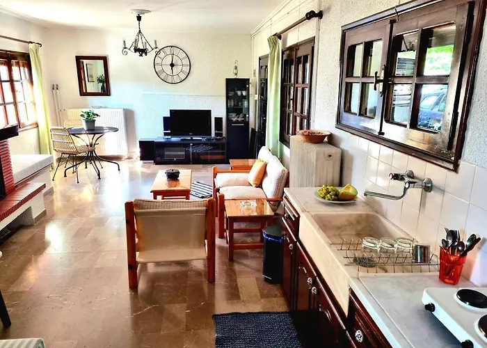 Spacious With Big Yard And Fireplace