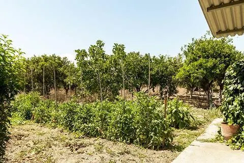 Spacious With Big Yard And Fireplace *